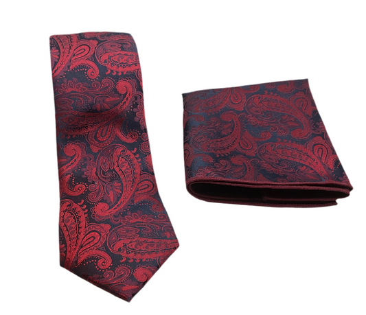 Men neck tie set